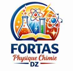 Fortas_Prompt(PhysTech DZ)